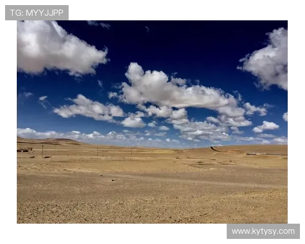 开云中国在线登录常见问题解决方法详解促进顺畅使用体验