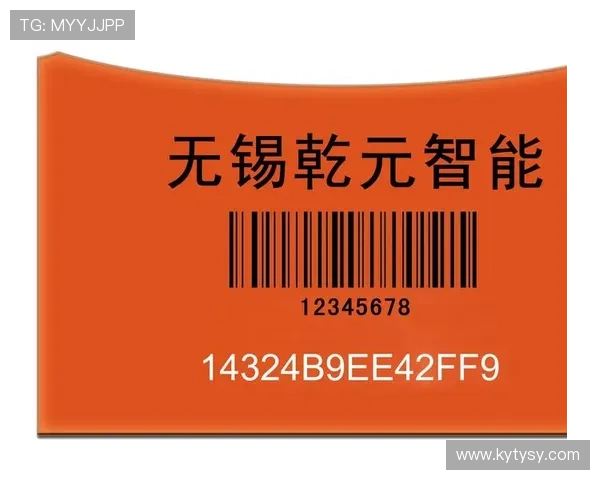 开云下载app优势带来安全稳定的下载环境保障用户信息安全