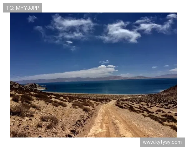 开云官网注册后如何绑定手机和邮箱提升账号安全性